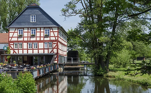 Walkemühle am See mit Waldstück